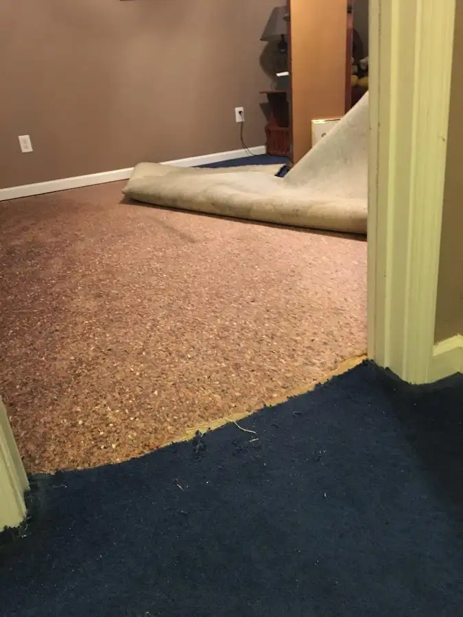 Carpet pad removal revealing water damage during Drying & Dehumidification in Colusa