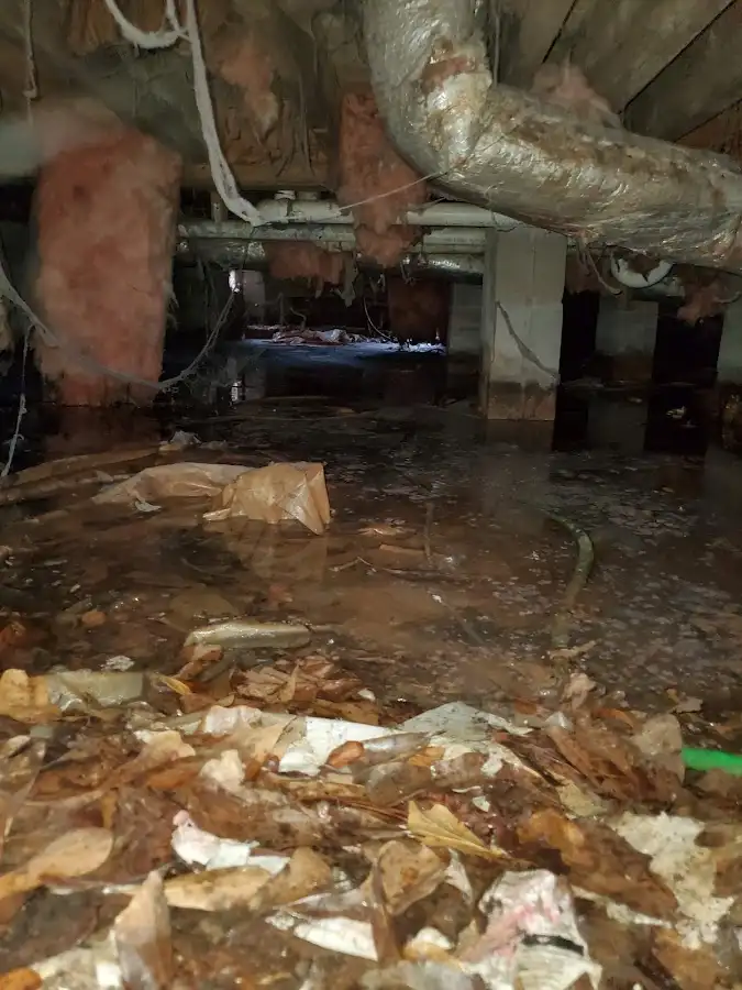 Crawl space flood assessment for Leak Detection & Repair in Colusa